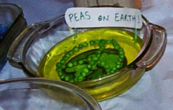 peas on earth