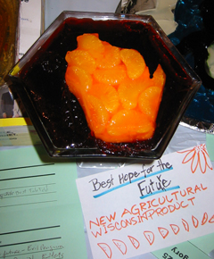 mandarin oranges in th shape of WI